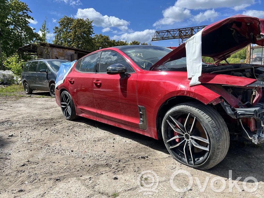 Stinger Stinger  A2C11094800
