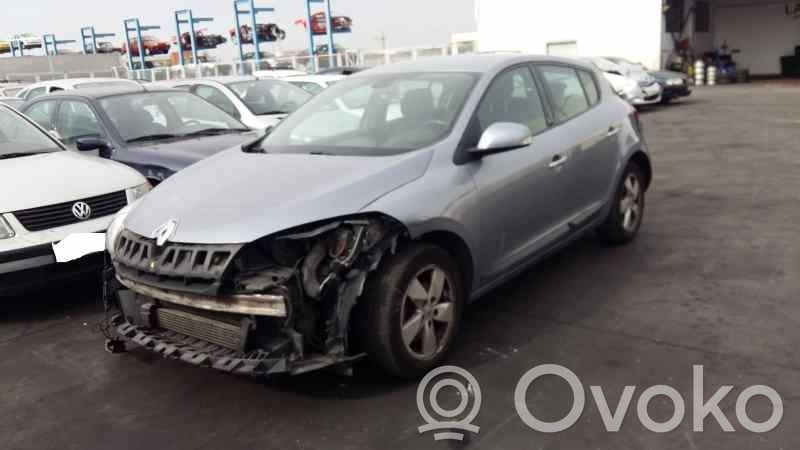 Megane III Megane  255670019RA