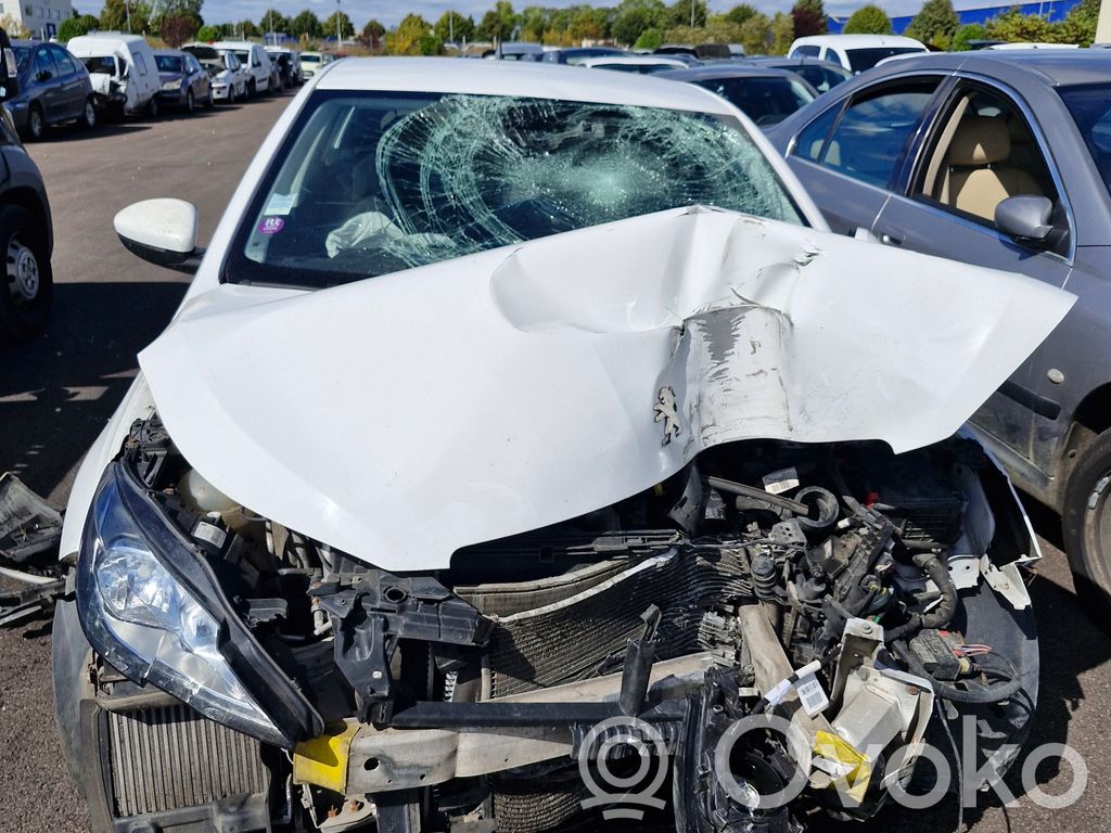 308 308  96748618ZD