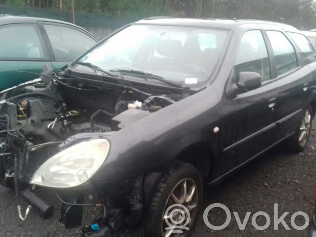 Xsara Xsara, Xsara Picasso