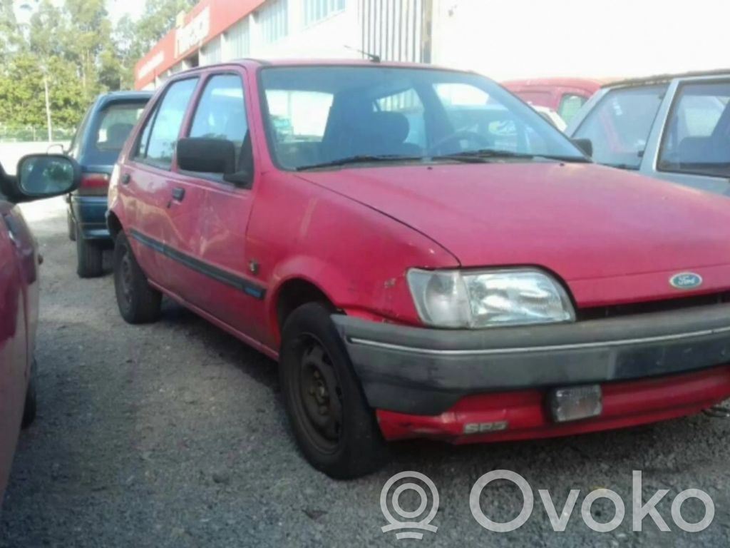 Fiesta Fiesta
