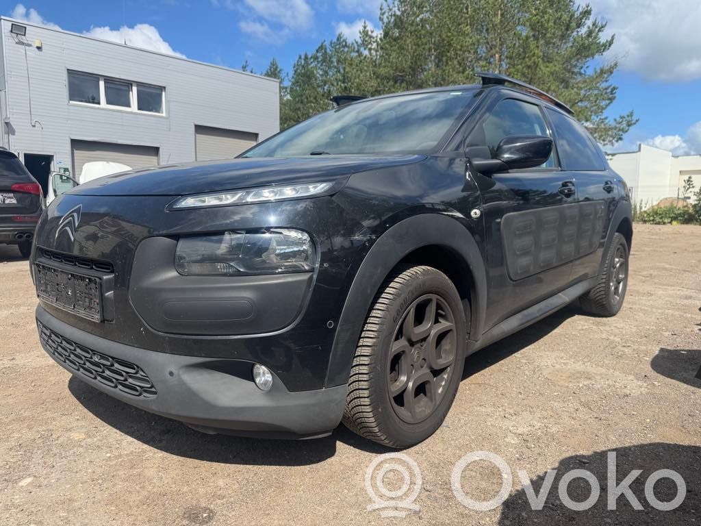 C4 Cactus C4 Picasso, Grand Picasso, Aircross, Cactus  98011898ZD