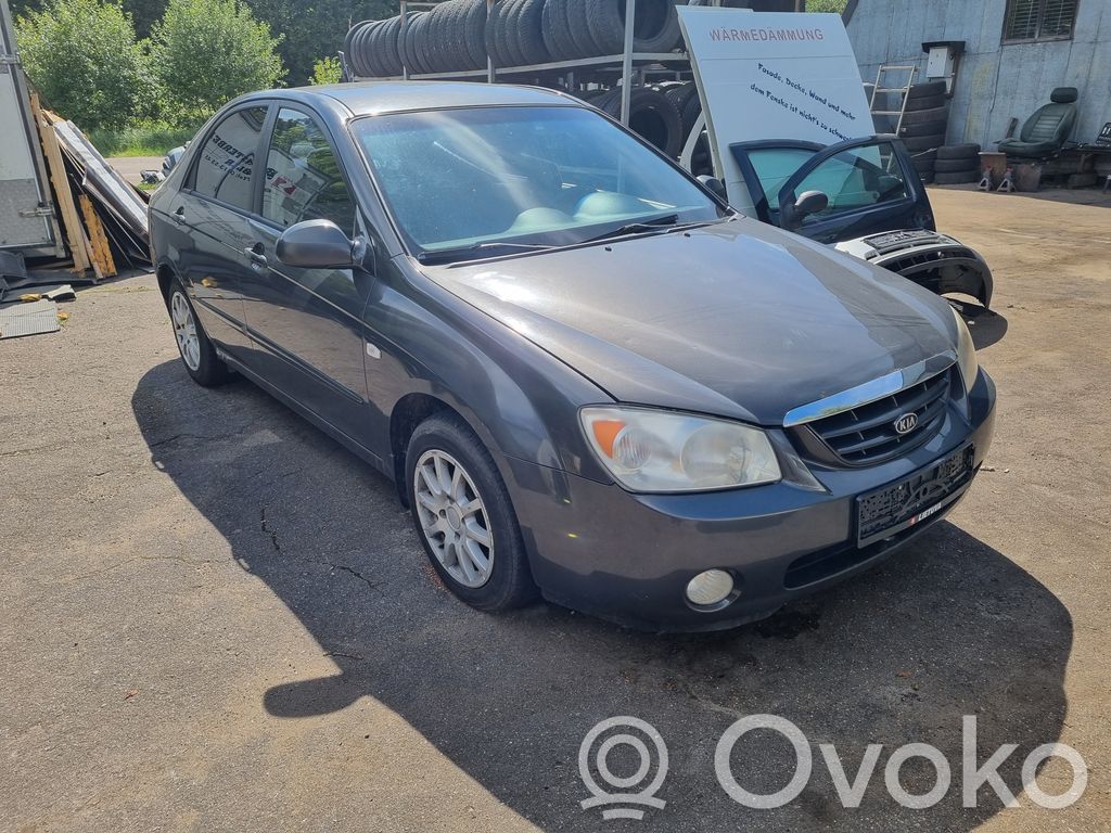 Cerato Cerato