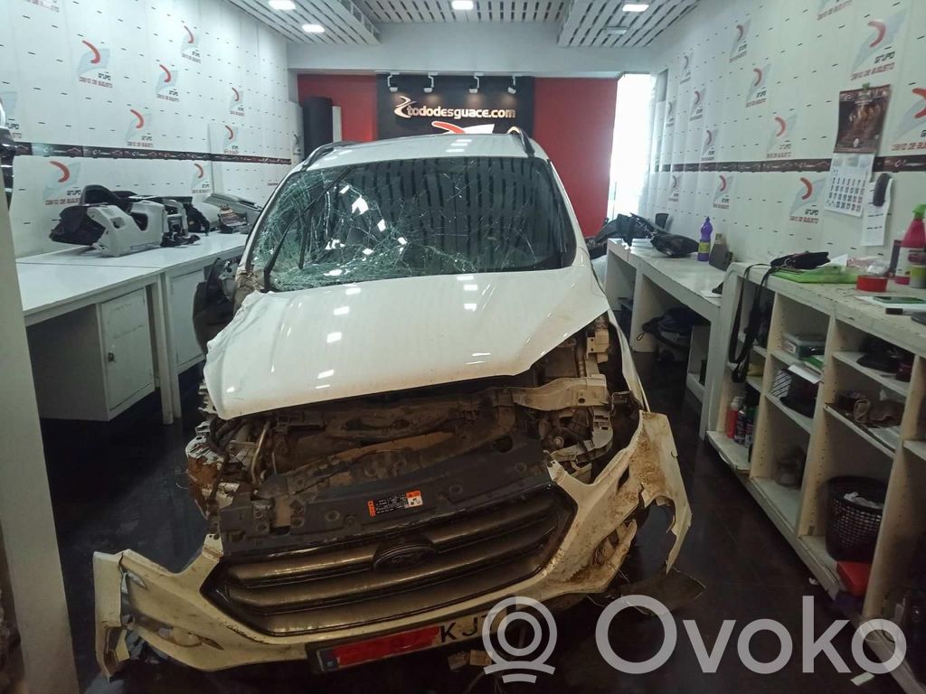 Kuga I Kuga  10099414