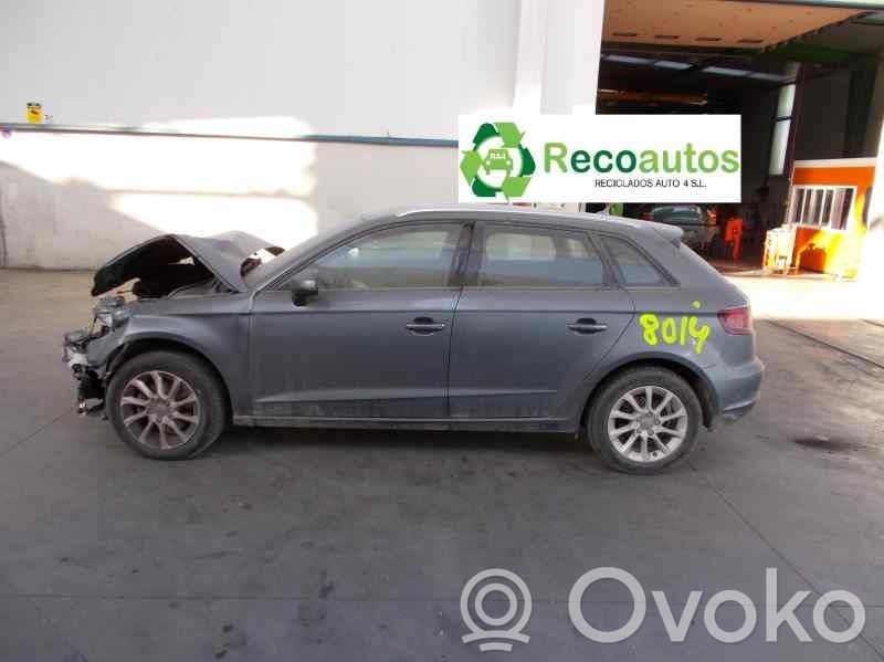 A3 S3 8V A3, S3
