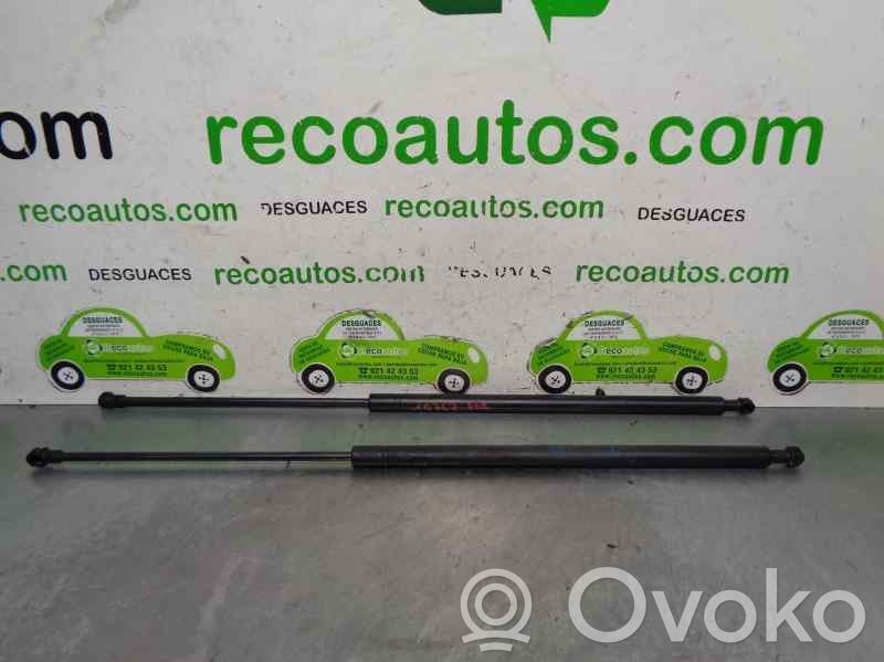 Captur II Captur  H8202137500