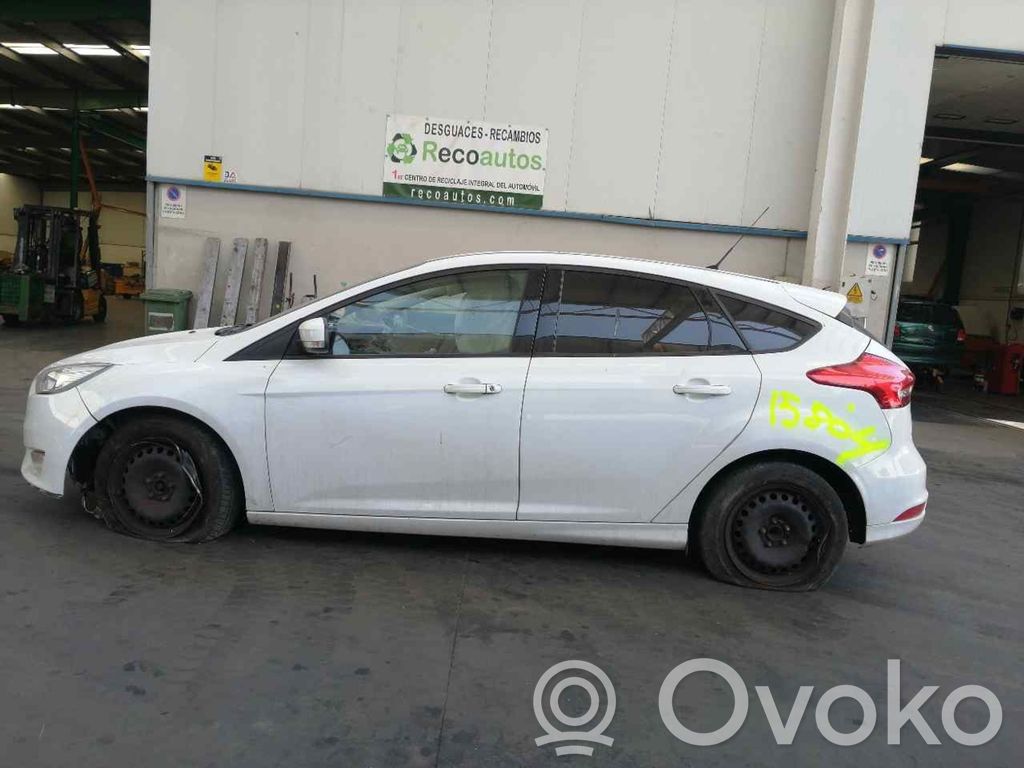 Focus Focus  1931272