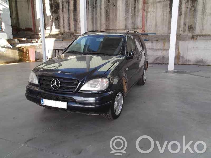ML W163 ML-class, AMG (W163, W164, W166)  A1634200483