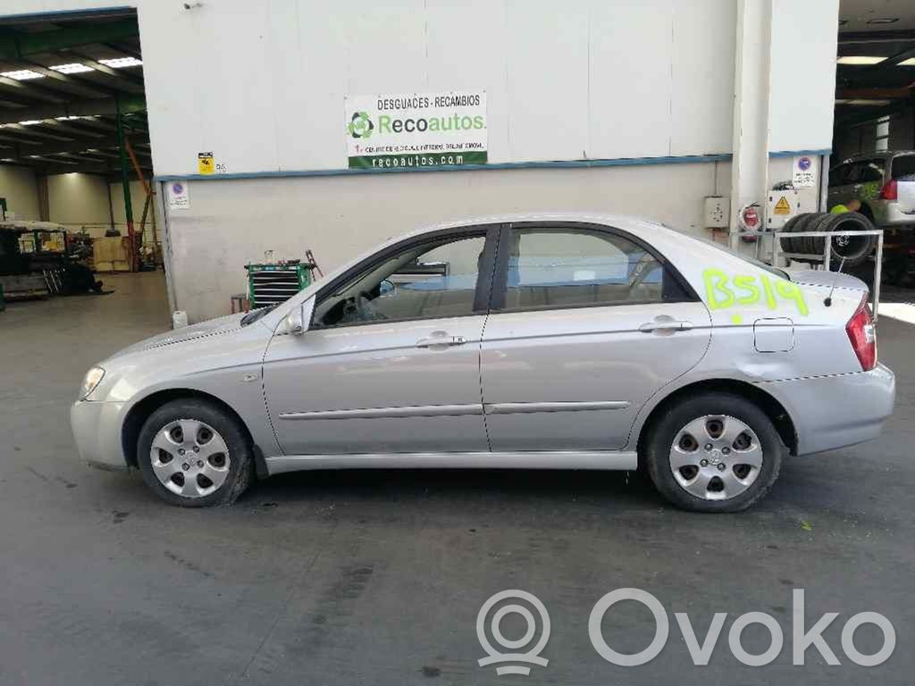 Cerato Cerato  S61767