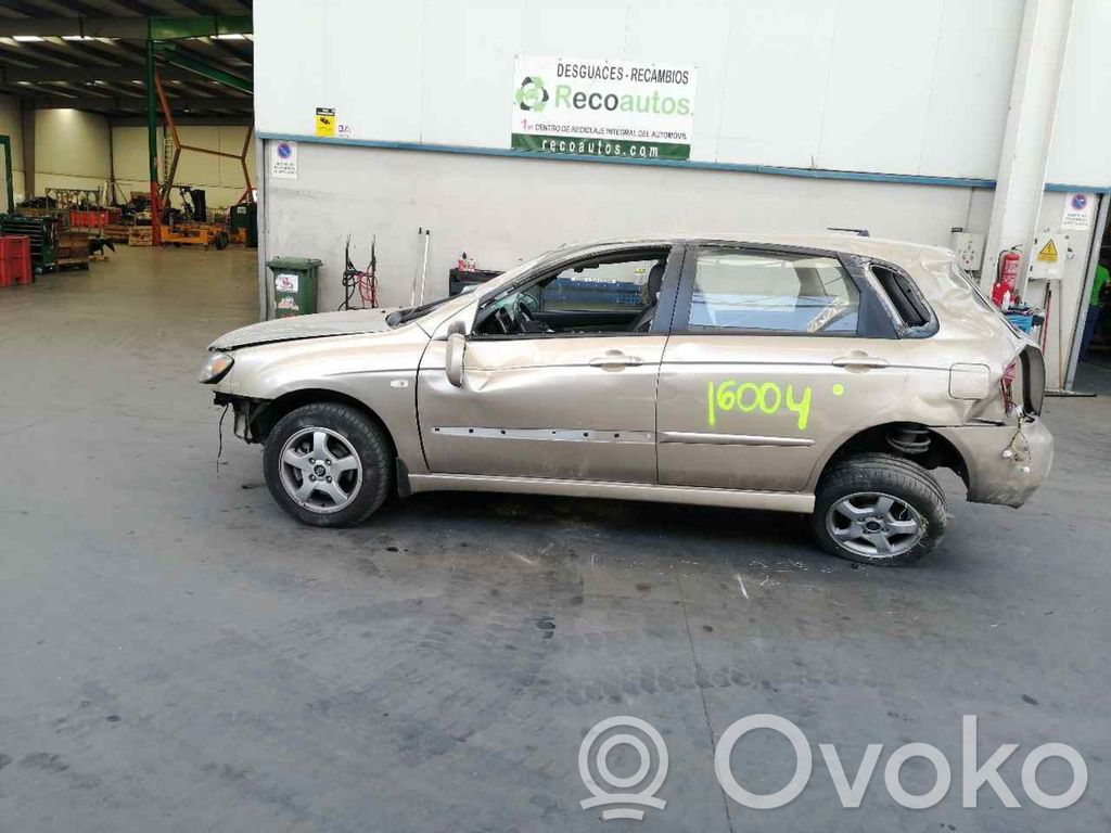 Cerato Cerato  934352F010