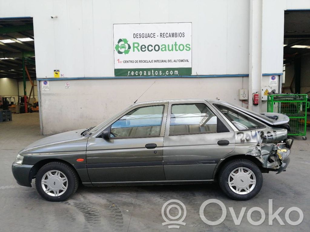 Escort Escort  1108365