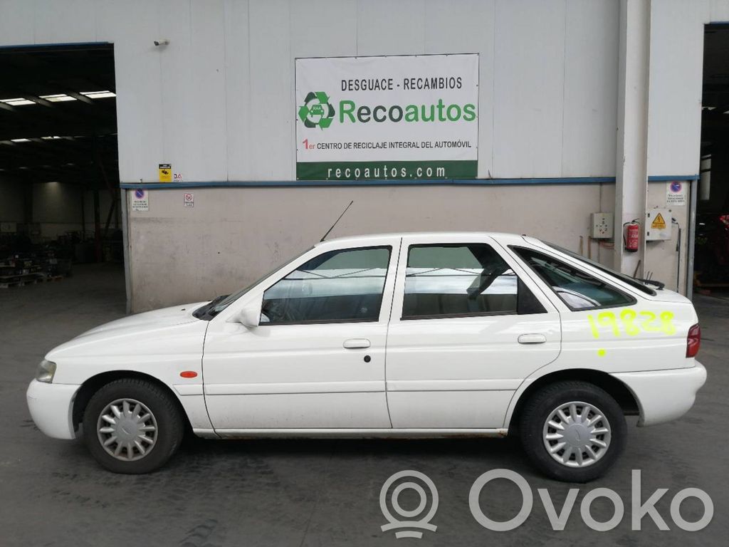 Escort Escort  1044271