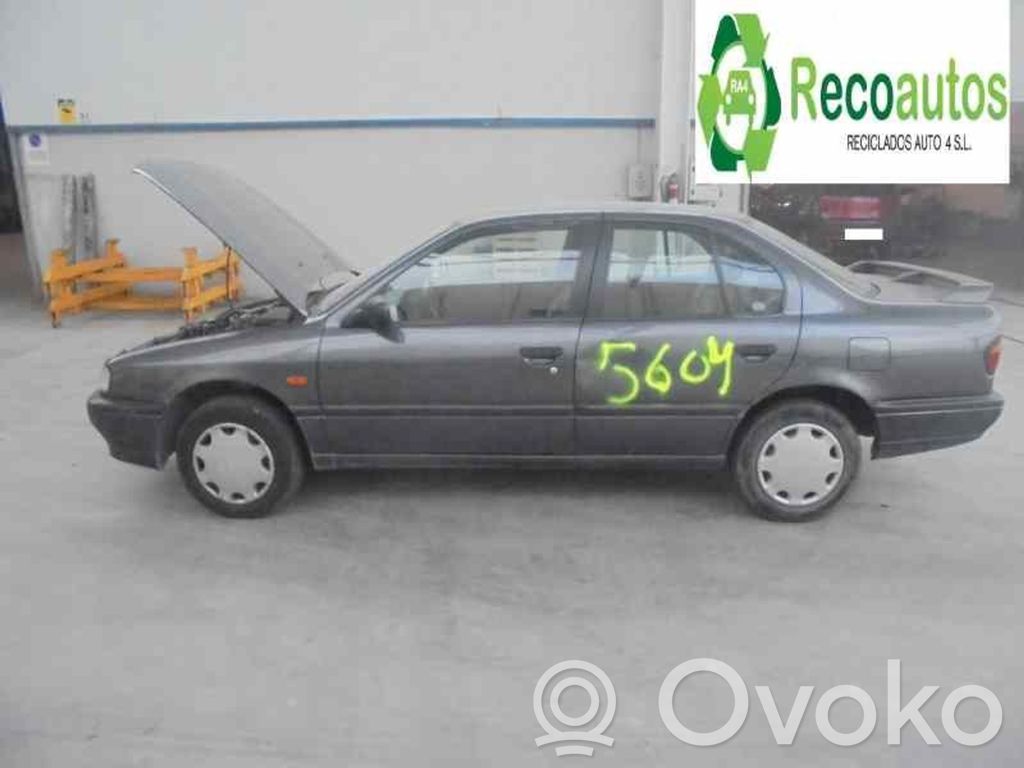 Primera Primera  D9908976902