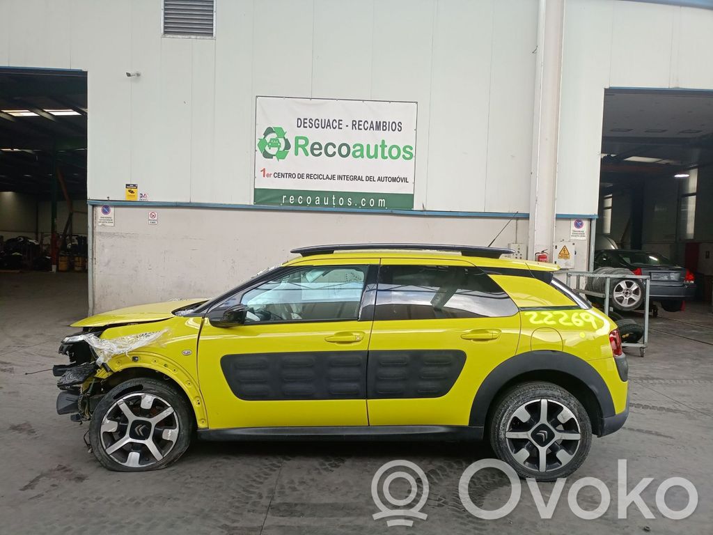 C4 Cactus C4 Picasso, Grand Picasso, Aircross, Cactus  9807369980