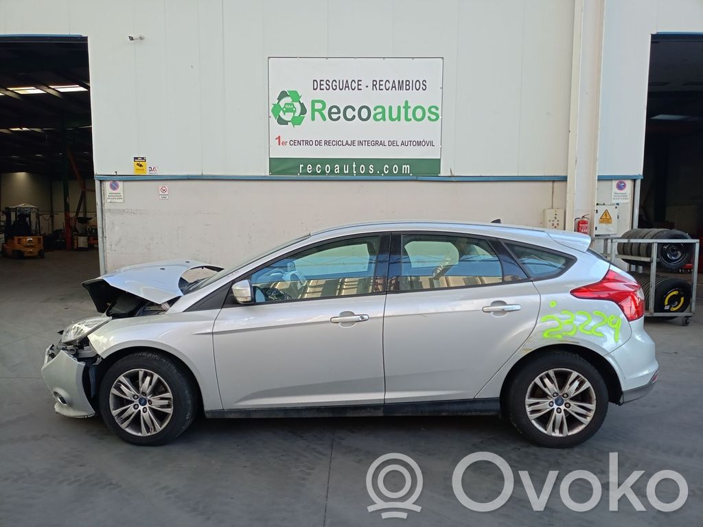 Focus Focus  1209177