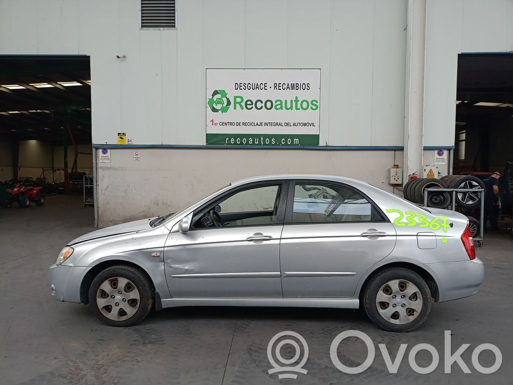 Cerato Cerato  692002F080