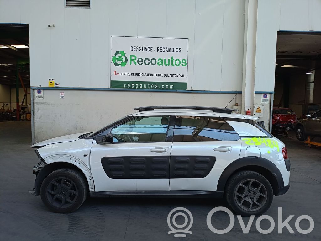 C4 Cactus C4 Picasso, Grand Picasso, Aircross, Cactus  98015218XT