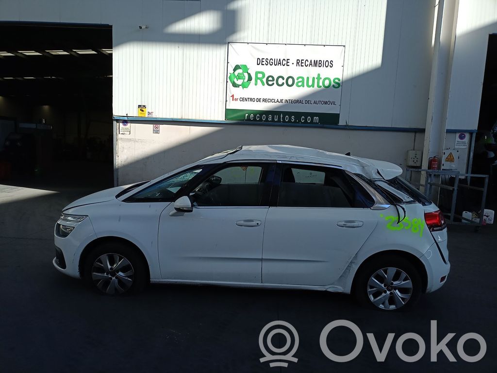 C4 Cactus C4 Picasso, Grand Picasso, Aircross, Cactus  1609617380