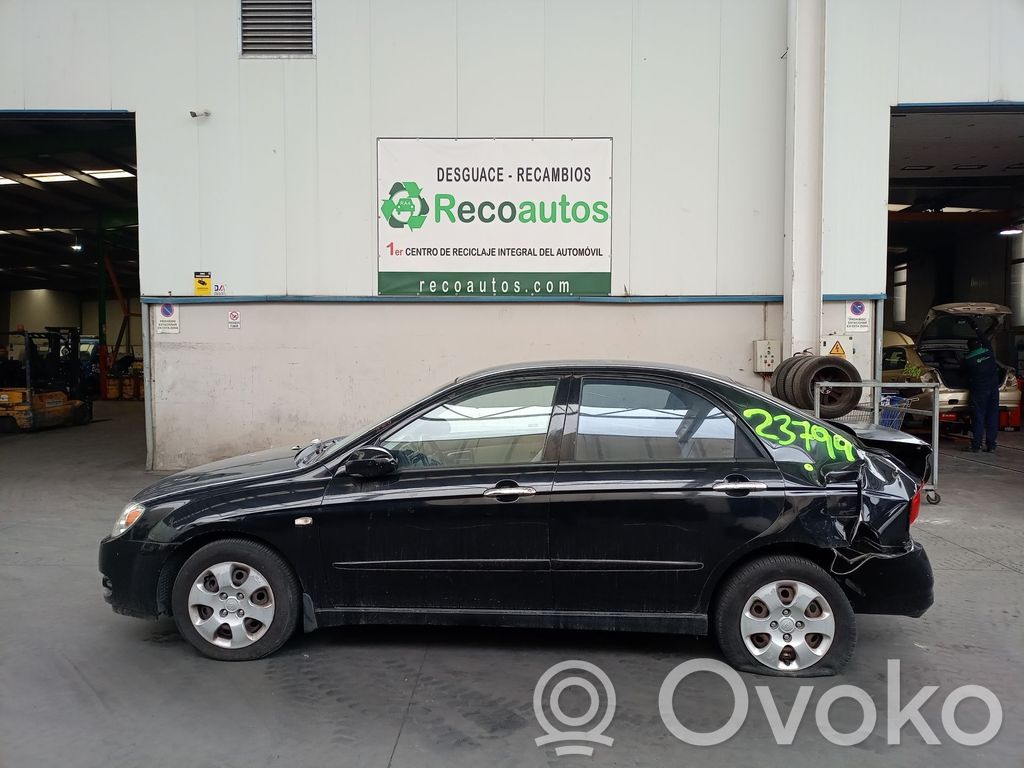 Cerato Cerato  327002F200