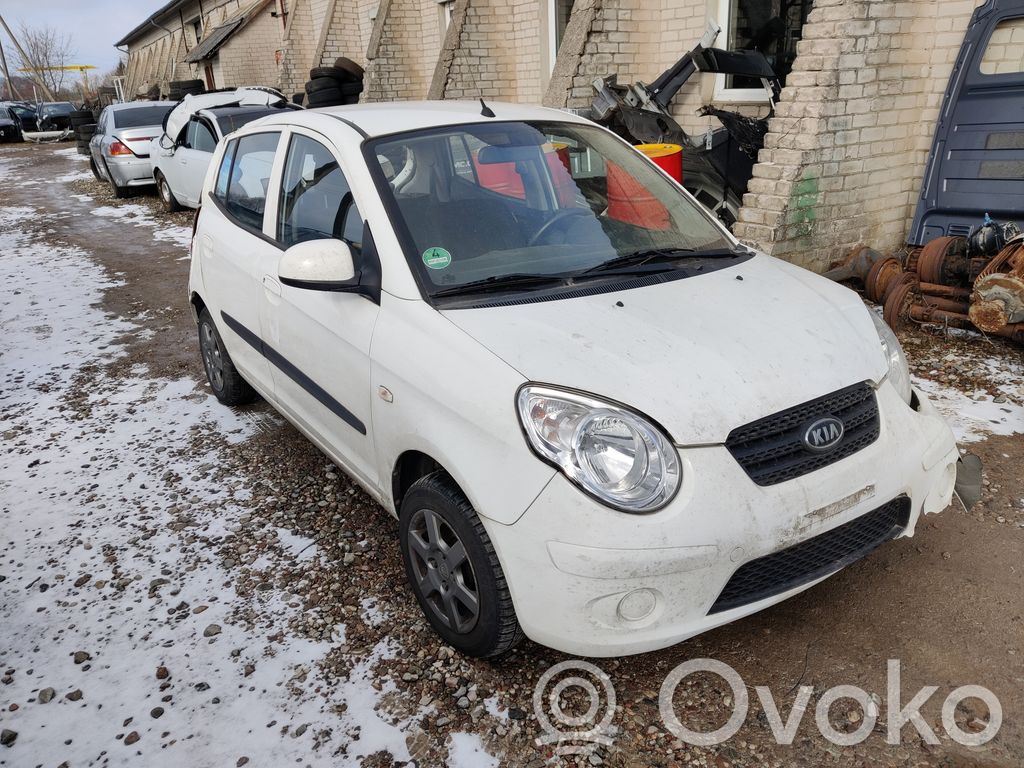 Picanto Picanto  02560