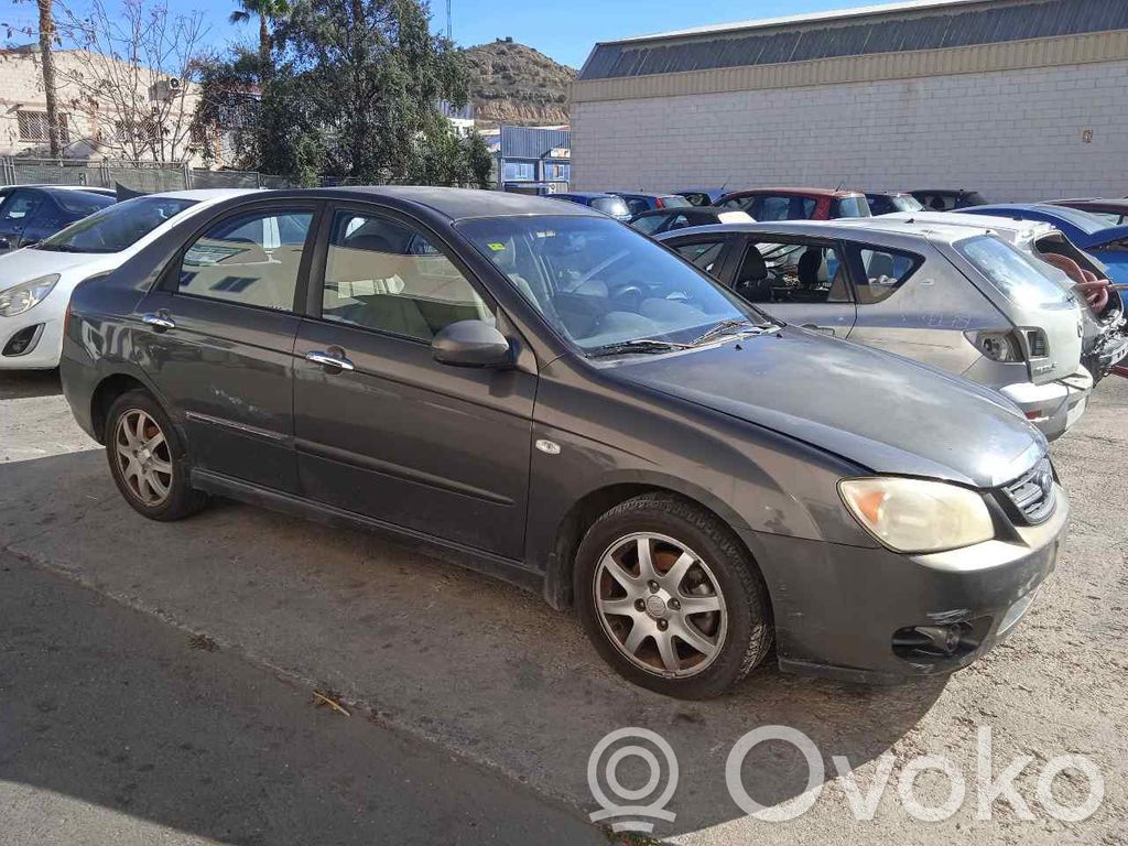 Cerato Cerato