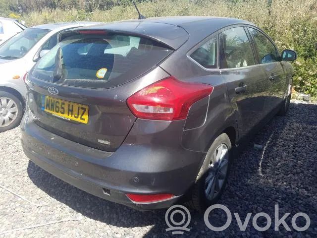 Focus Focus  006385