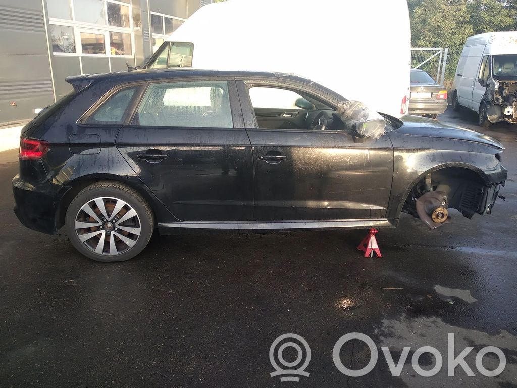 RS3 RS3  07K906262B