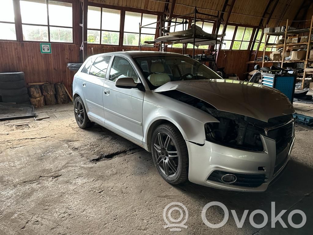 A3 S3 A3 Sportback 8P A3, S3  06F133529E