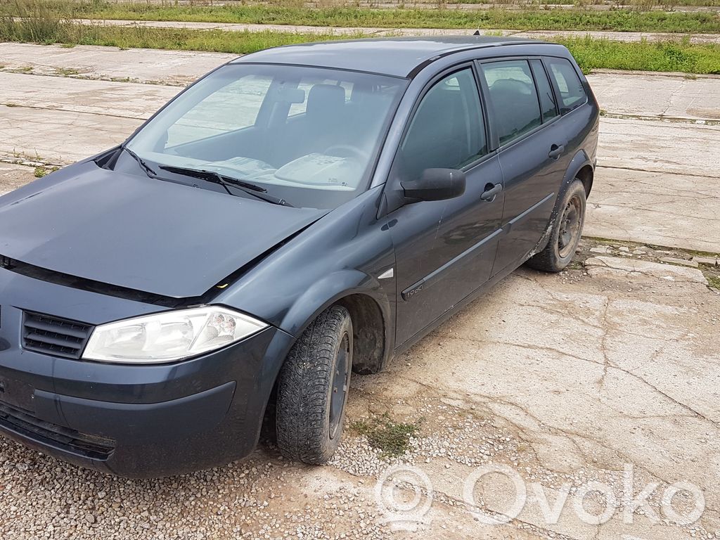 Megane II Megane  19001782