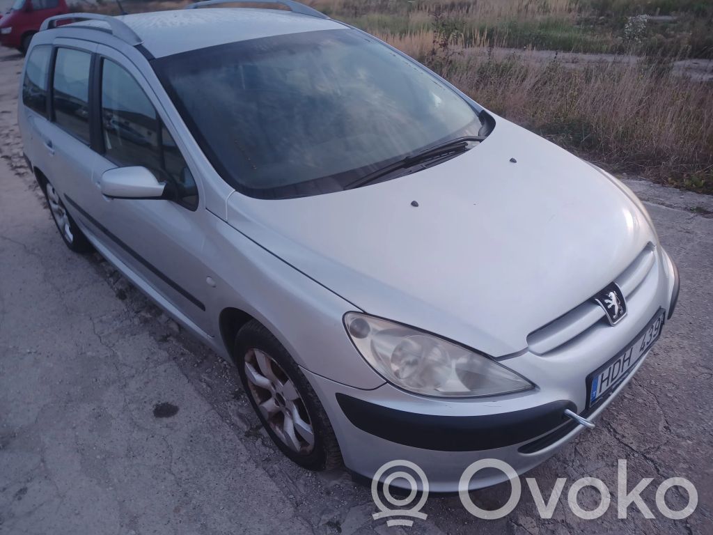 307 307  96366684