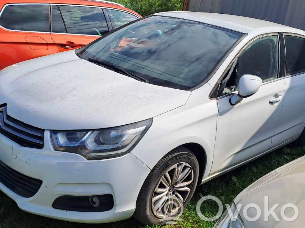 C4 II C4 Picasso, Grand Picasso, Aircross, Cactus  824902008701