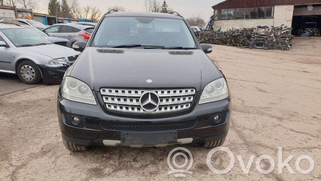 ML W164 ML-class, AMG (W163, W164, W166)  0258017016017