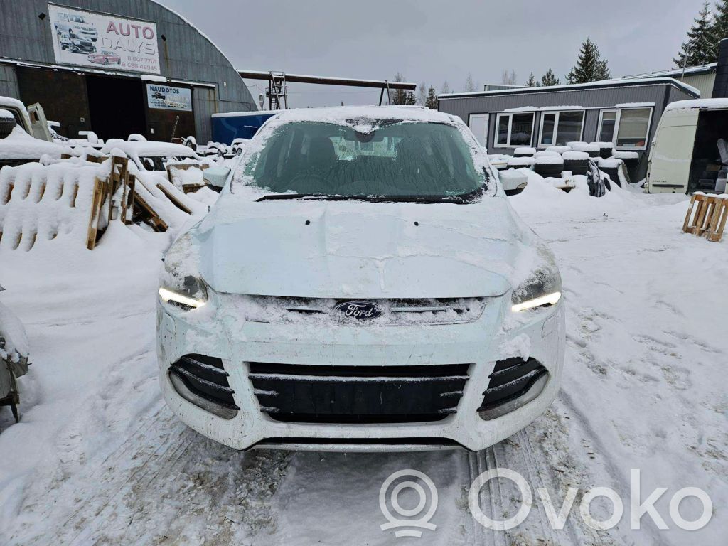 Kuga II Kuga  CV613A262AAA
