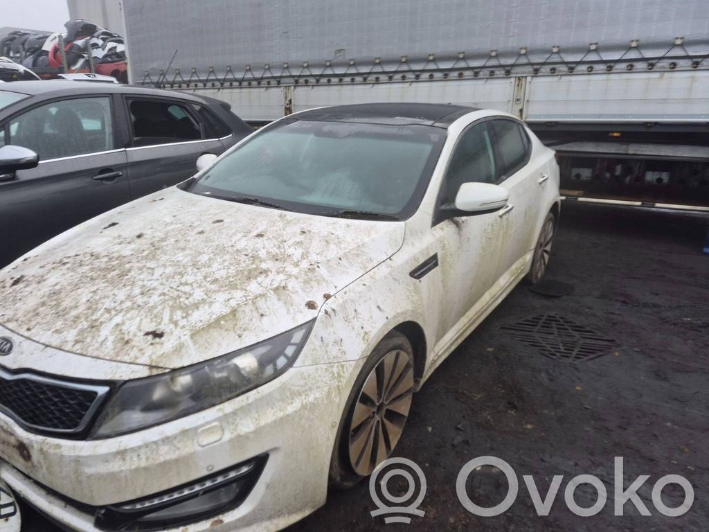 Optima Optima  986102T500