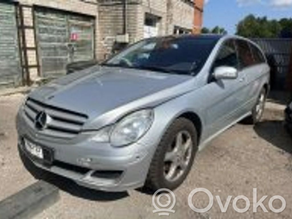 R W251 R-class, AMG (W251)