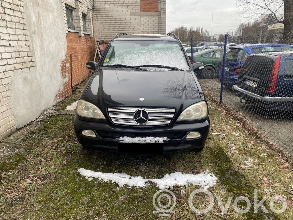 ML W163 ML-class, AMG (W163, W164, W166)
