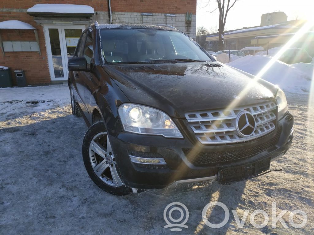 ML W164 ML-class, AMG (W163, W164, W166)