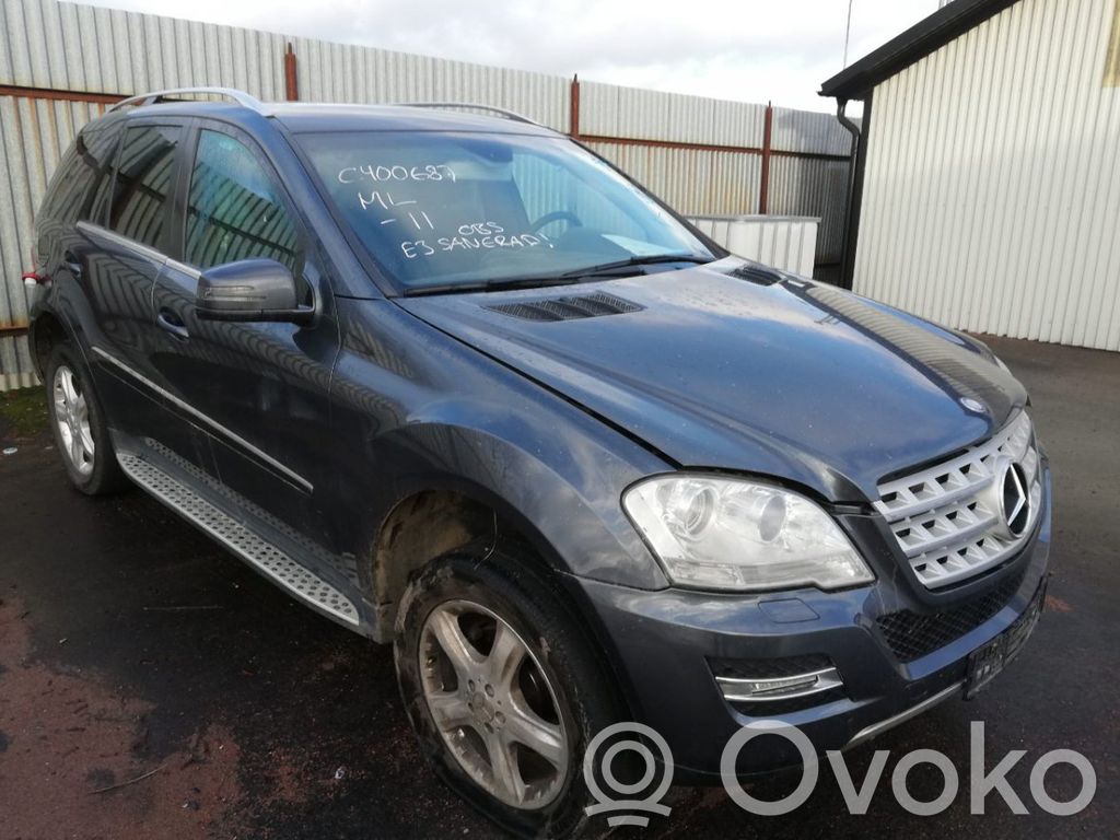 ML W164 ML-class, AMG (W163, W164, W166)