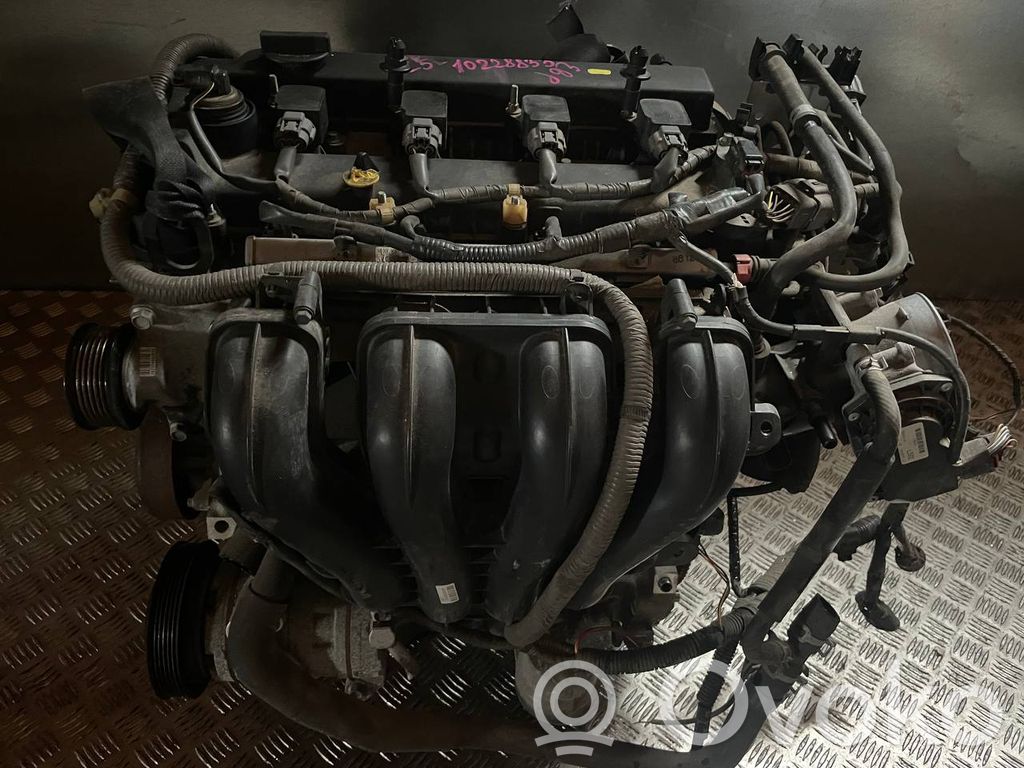 6 6  L5