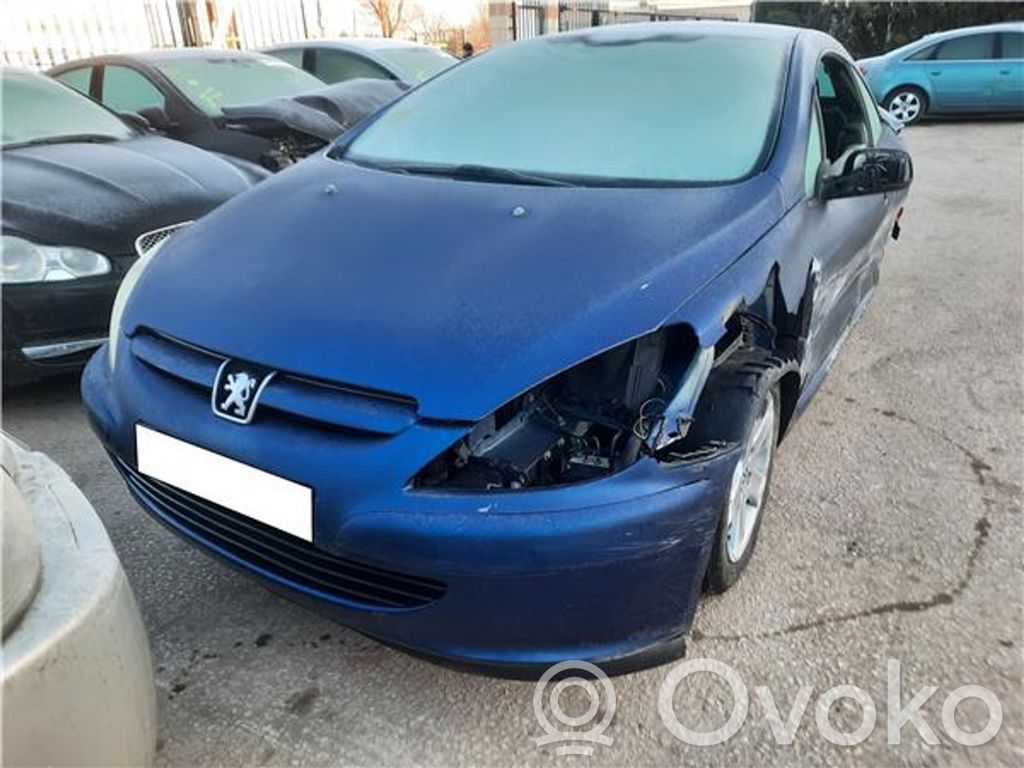 307 CC 307