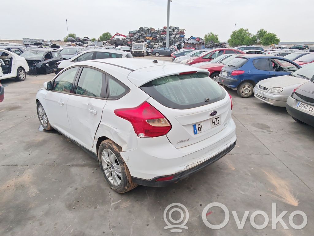 Focus Focus  BM5117757AFXWAA