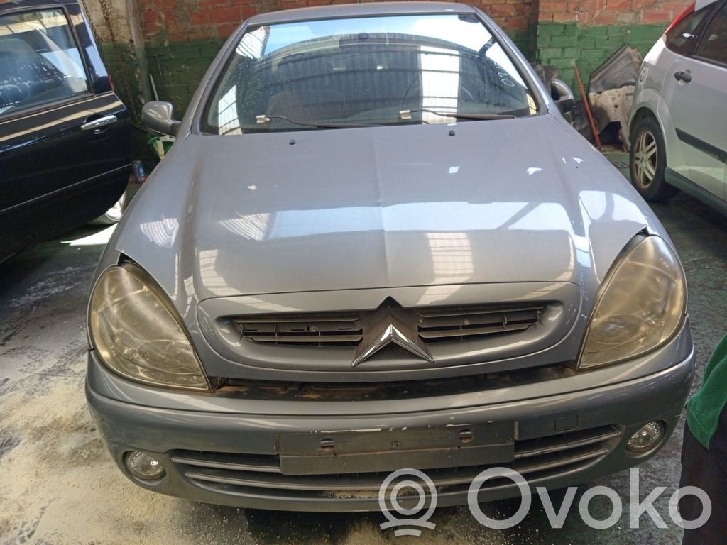 Xsara Xsara, Xsara Picasso
