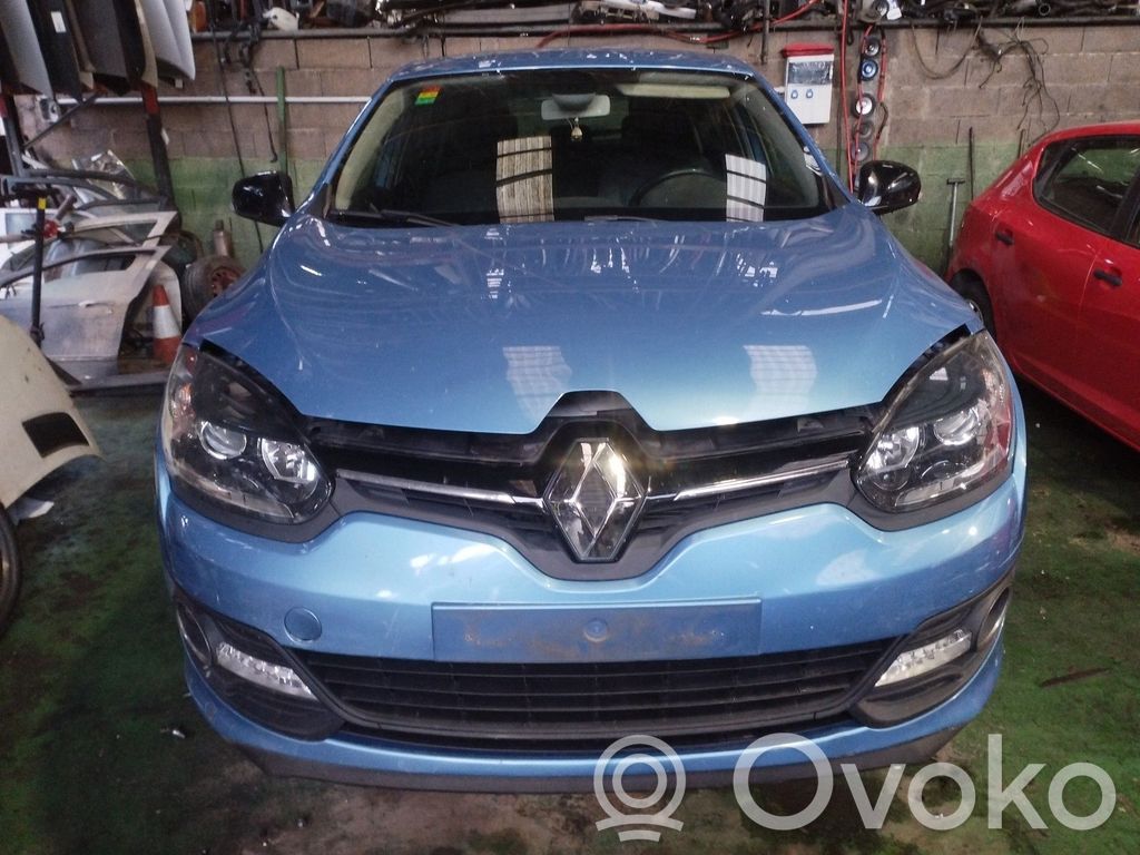 Megane III Megane  255670019RD