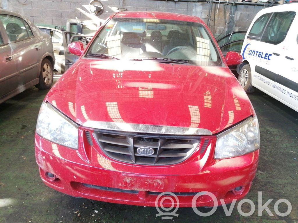 Cerato Cerato