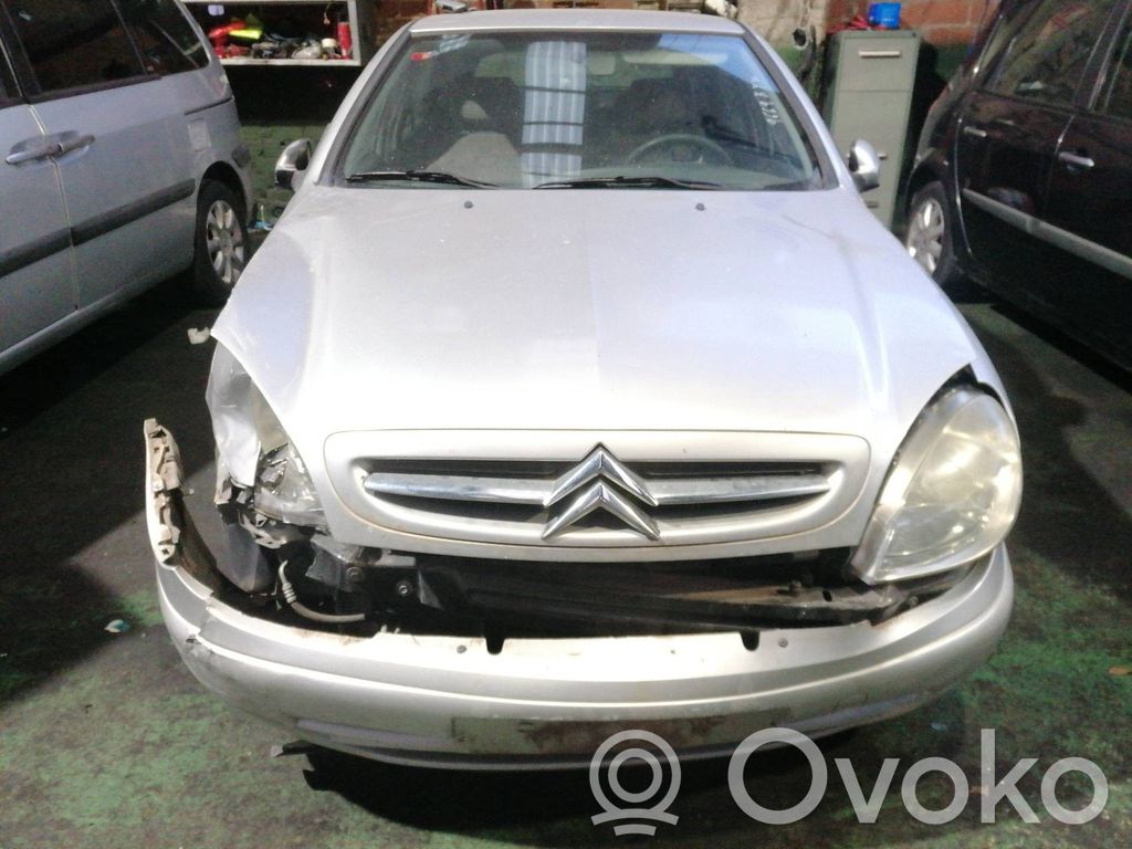 Xsara Xsara, Xsara Picasso