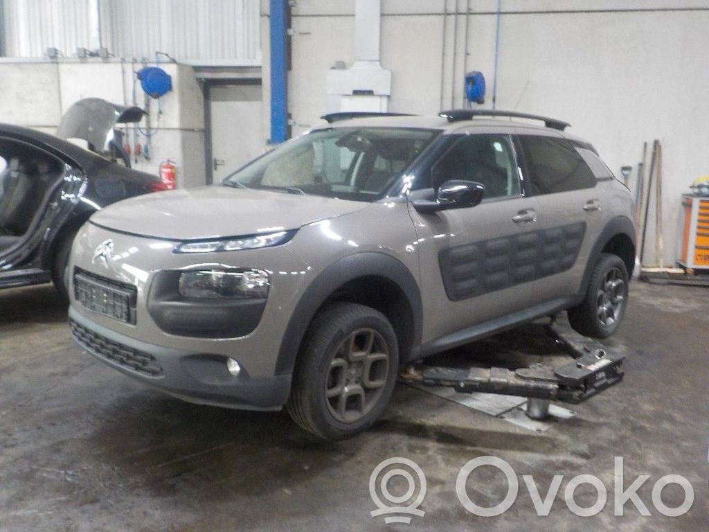 C4 Cactus C4 Picasso, Grand Picasso, Aircross, Cactus  98004092ZD