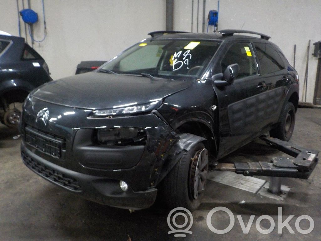 C4 Cactus C4 Picasso, Grand Picasso, Aircross, Cactus  PSA016900