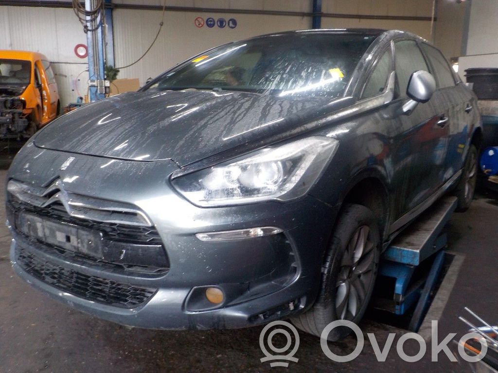 DS5 DS5  20DS53