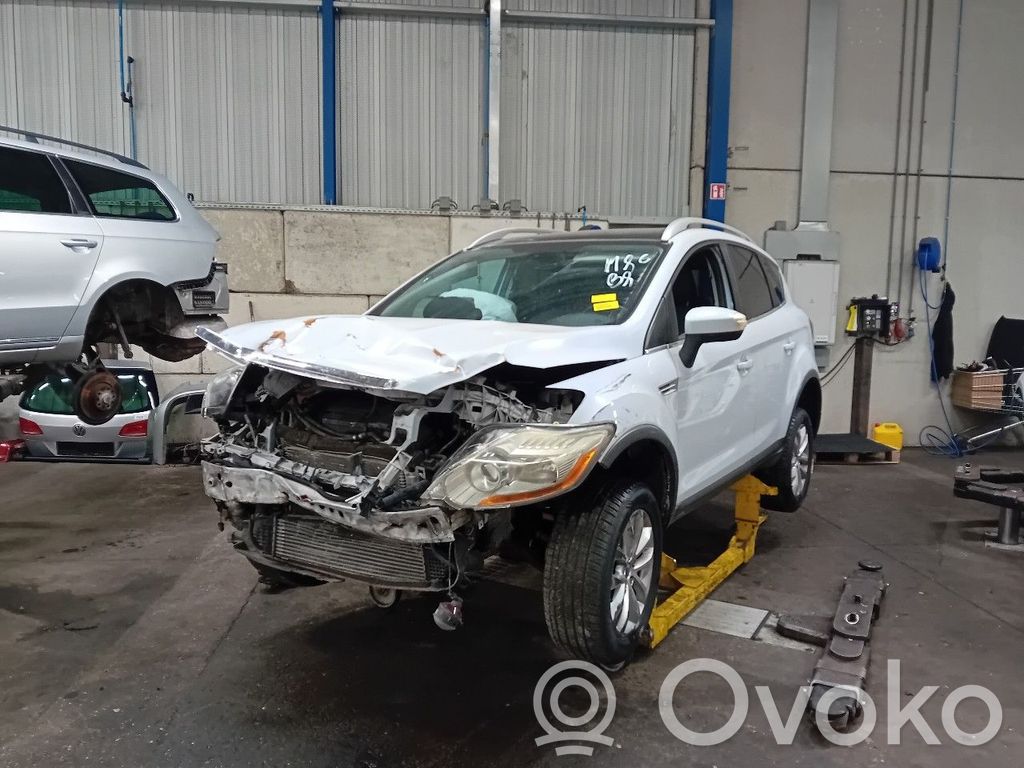 Kuga I Kuga  AW55