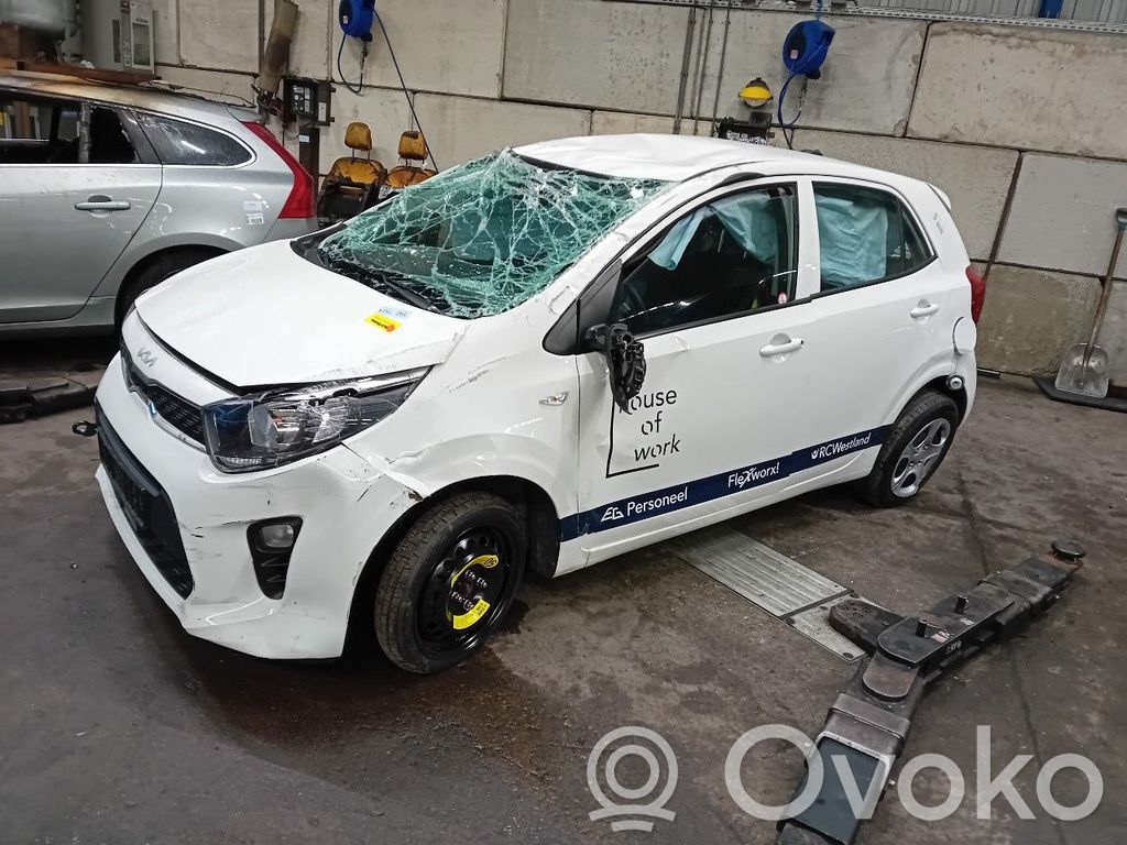 Picanto Picanto  61008428